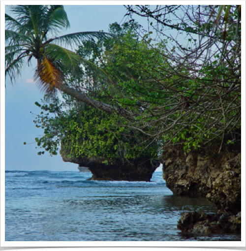 Tropical coastal scenery at Bluff Beach on the east coast - known for its strong surf. Tropical coastal scenery at Bluff Beach on the east coast - known for its strong surf.